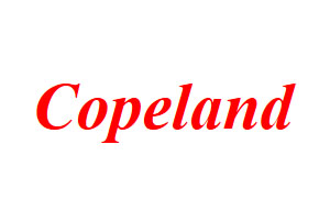 copeland valve